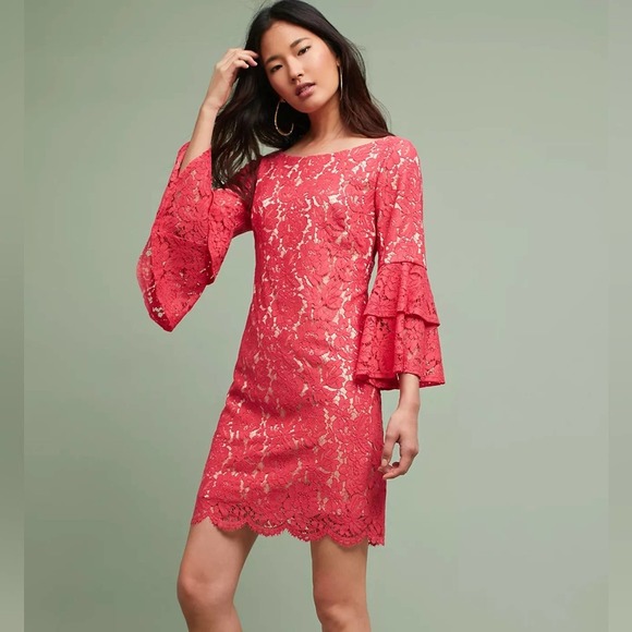 Eliza J Dresses & Skirts - Eliza J Andressa Lace Dress, Bell Sleeves, Mini Dress, Shift Dress, Size 8